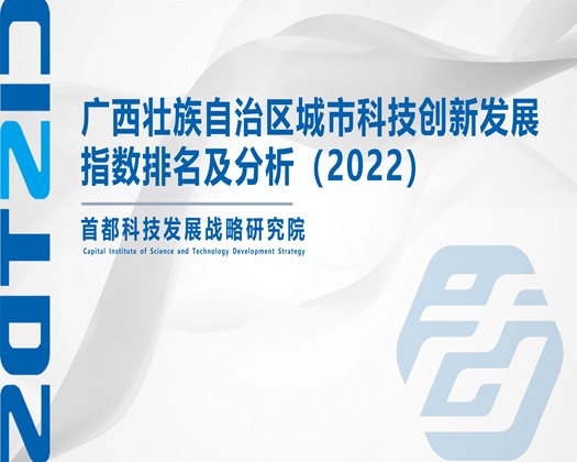 半推半就日屌【成果发布】广西壮族自治区城市科技创新发展指数排名及分析（2022）